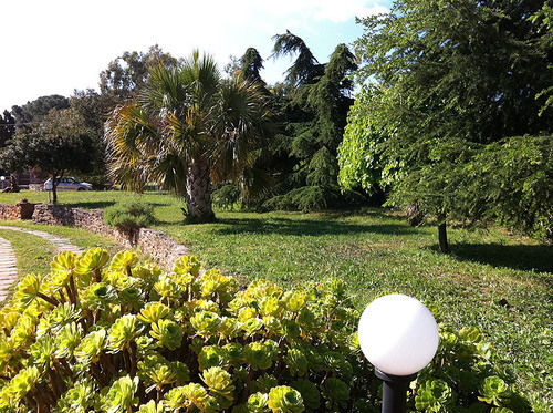Agriturismo Agave Fertilia Exterior photo